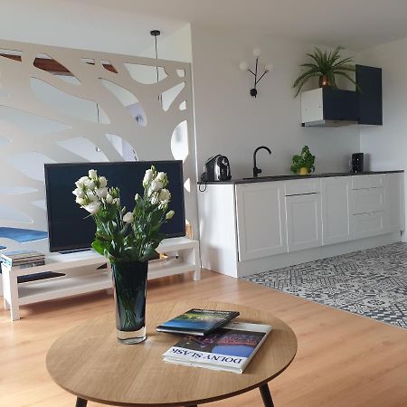 Apartament Panorama Jezow Sudecki Kültér fotó