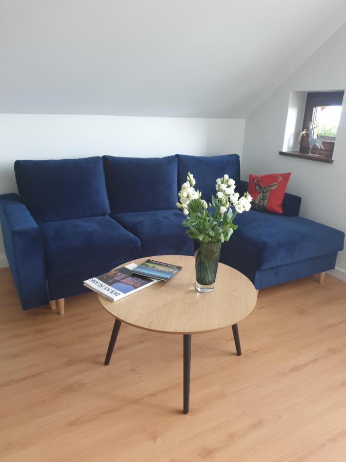 Apartament Panorama Jezow Sudecki Kültér fotó